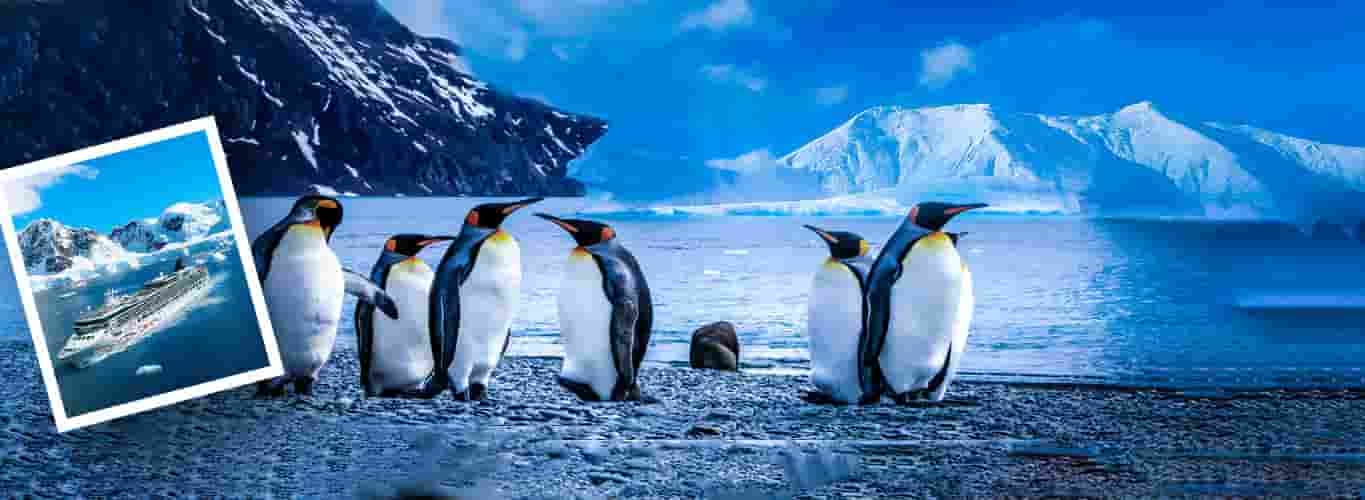 Antartica Tour Packages