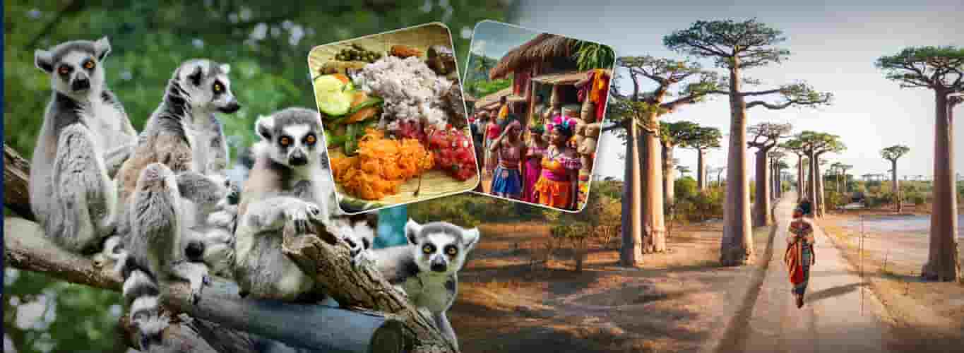 Madagascar Tour Packages