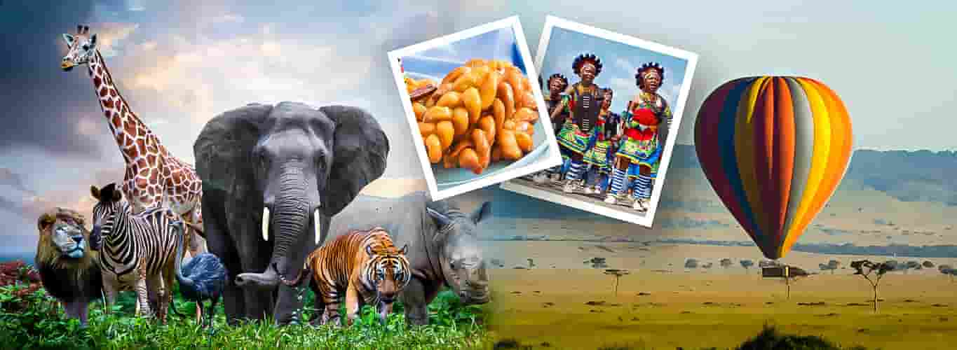 South Africa (Safari Lions) Tour Packages