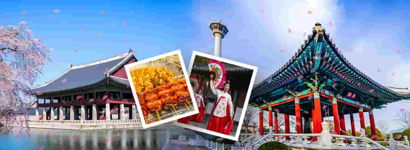 South Korea (Cherry Blossom Palace) Tour Packages