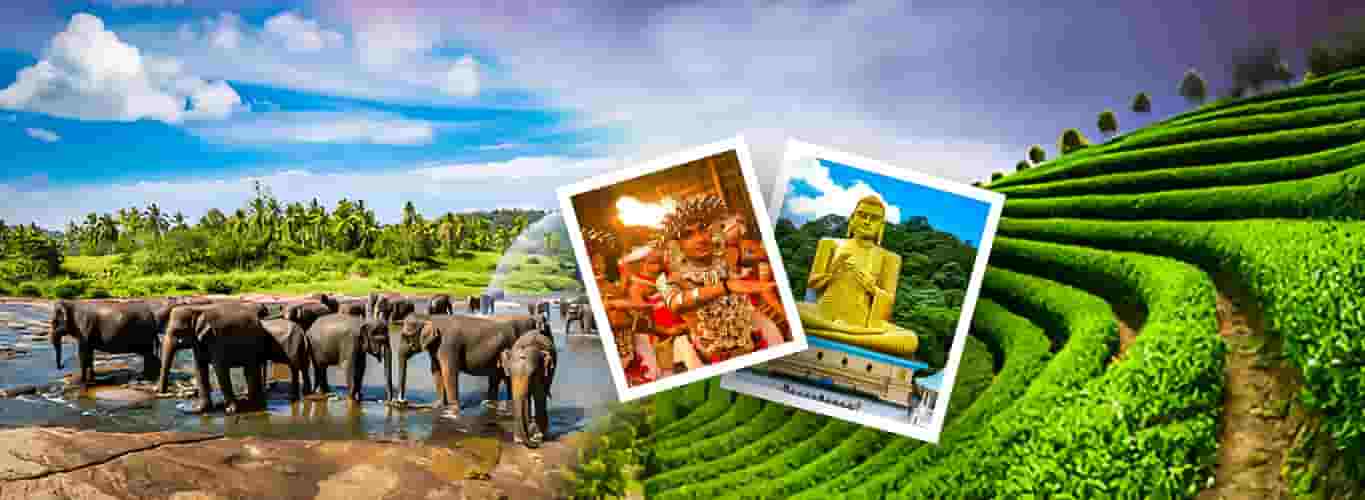 Sri Lanka Tour Packages