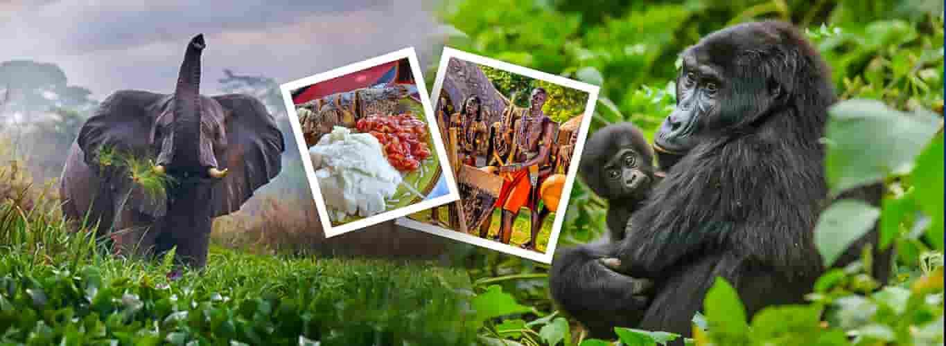 Uganda & Rwanda Tour Packages
