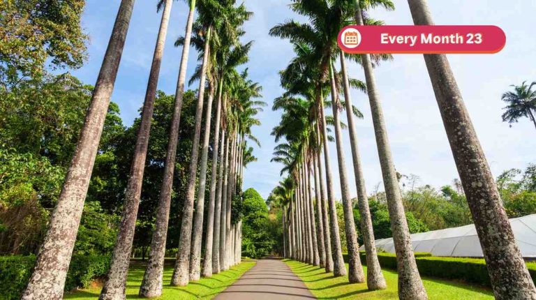 SRI LANKA Tour Packages