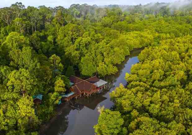 Borneo Tour Packages