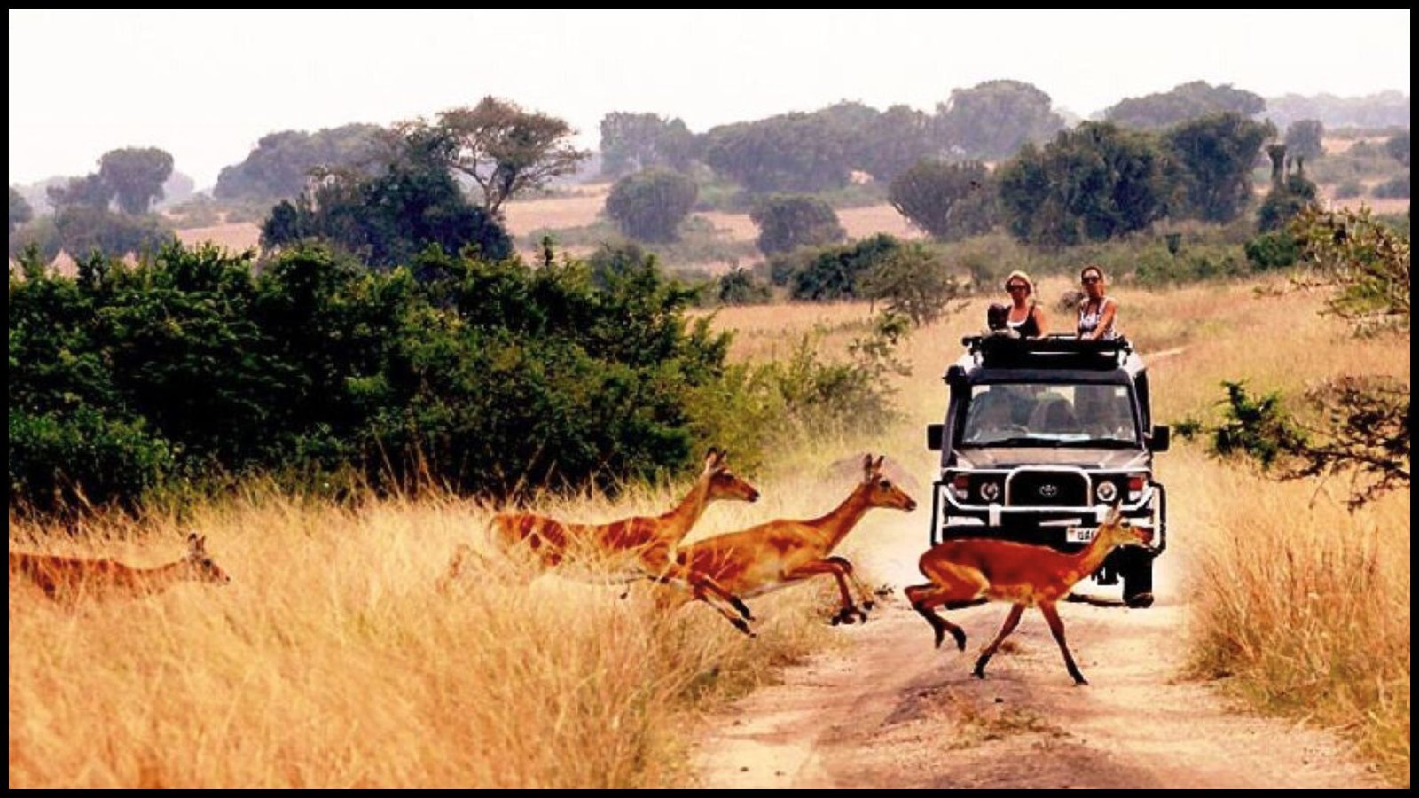Uganda Rwanda tour packages