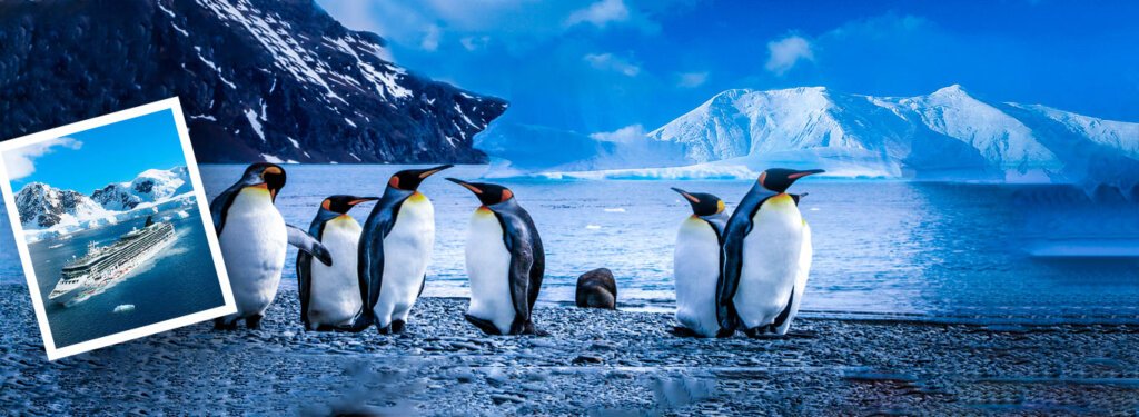 Best antartica Tour Packages