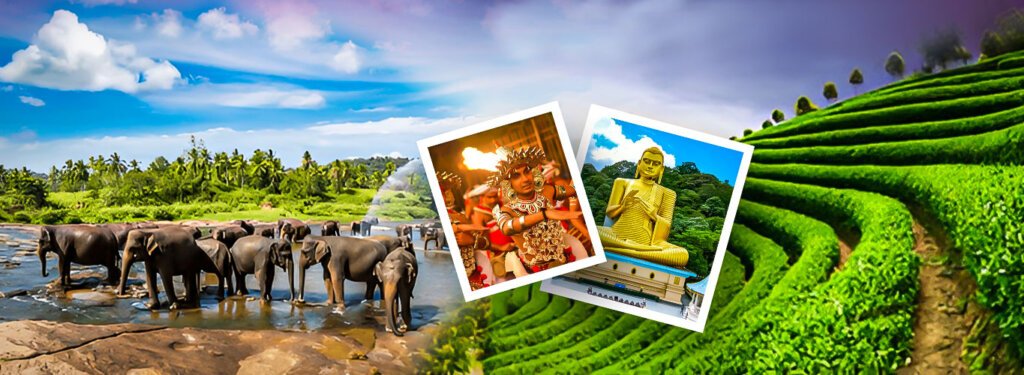 Srilanka tour packages
