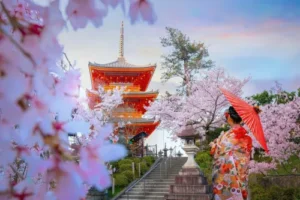 japan tour packages
