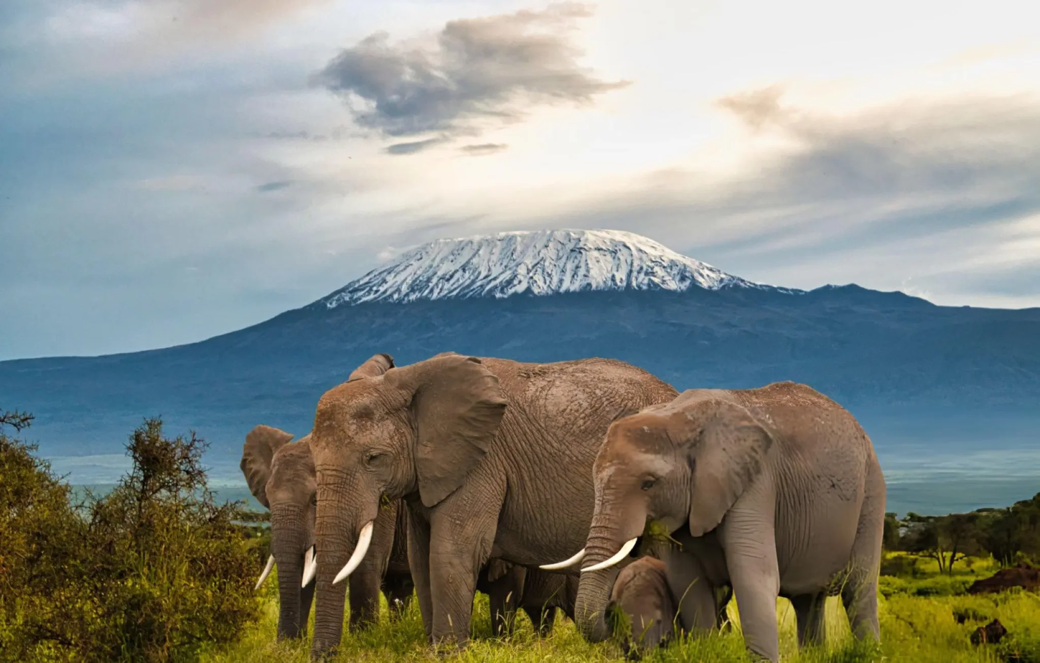 Kenya Tour Packages