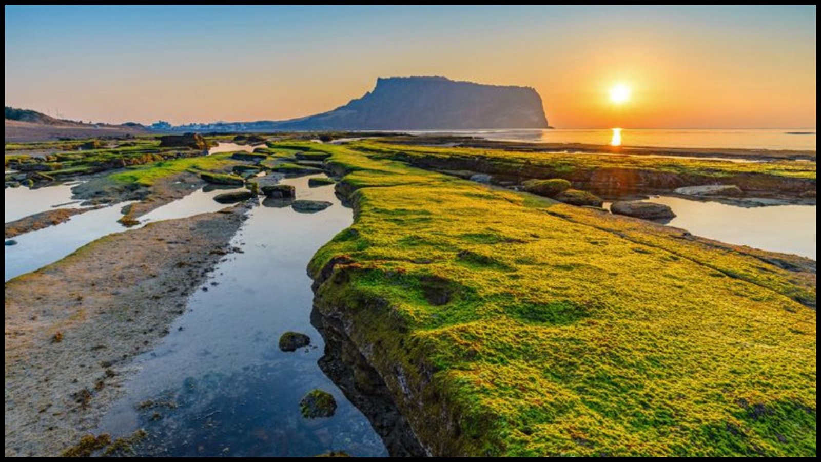 South Korea Tour Packages