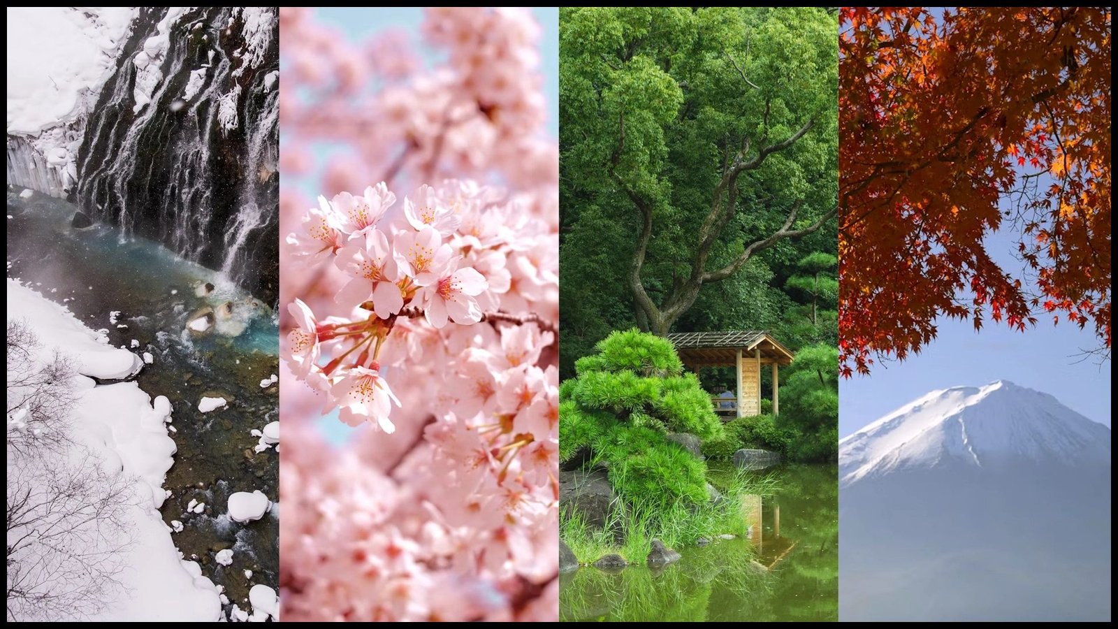 japan tour packages