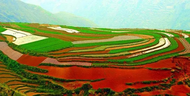China Tour Packages
