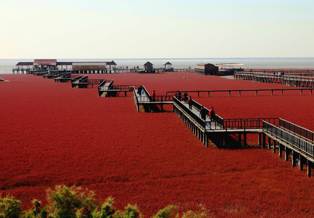 China Tour Packages