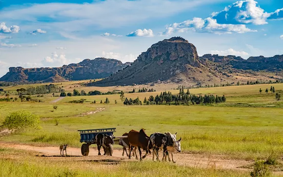 Madagascar Tour Packages