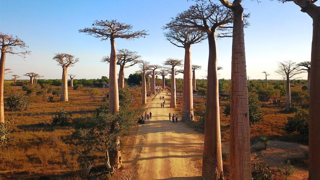 Madagascar Tour Packages