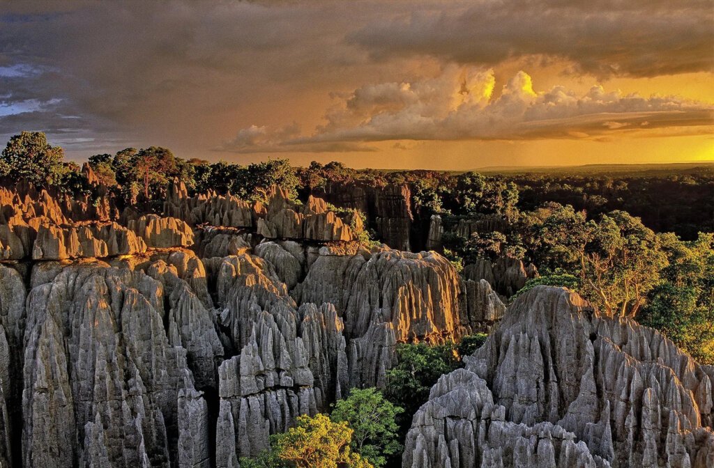 Madagascar Tour Packages