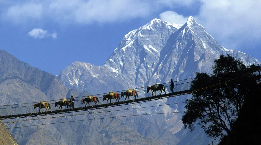 Nepal Tour Packages