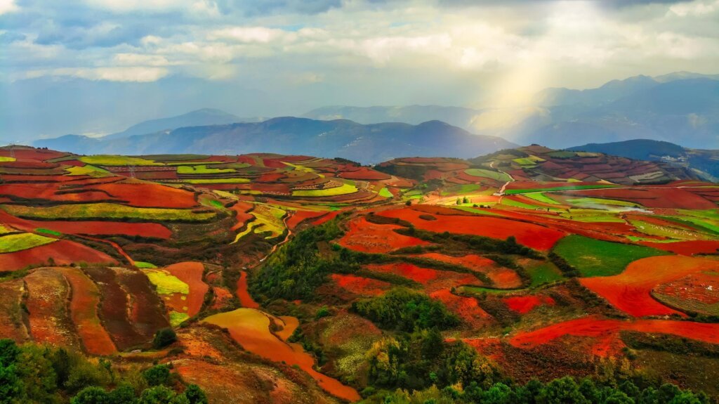 China Tour Packages