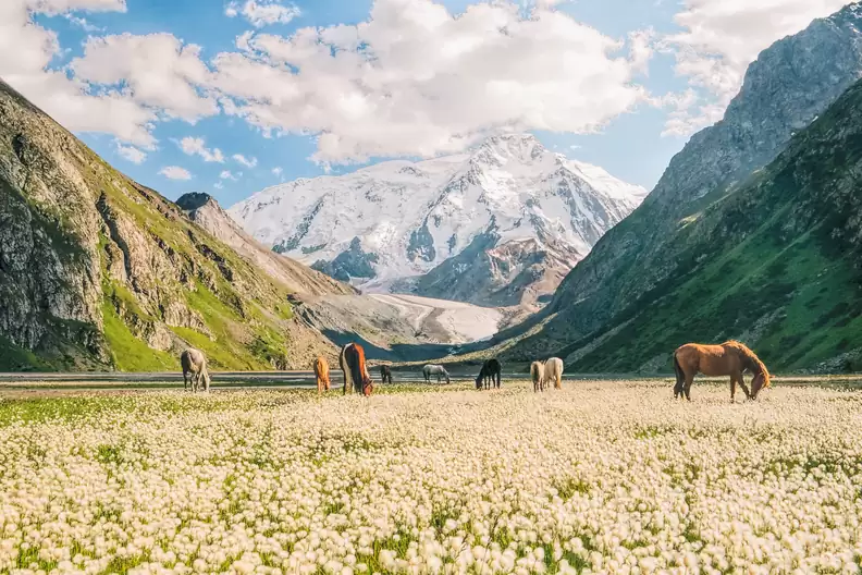 Kyrgyzstan Tour Packages
