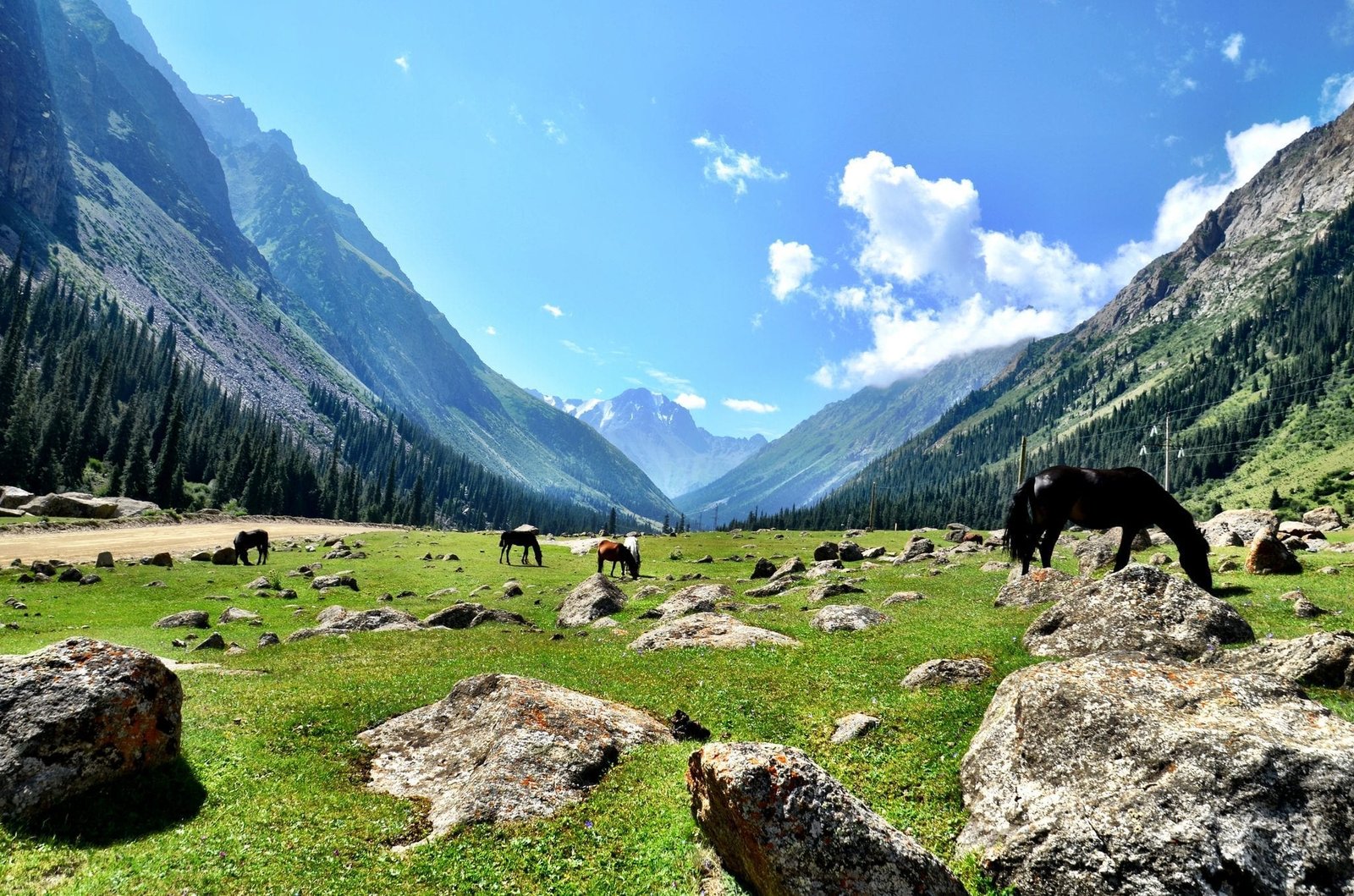 Kyrgyzstan Tour Packages