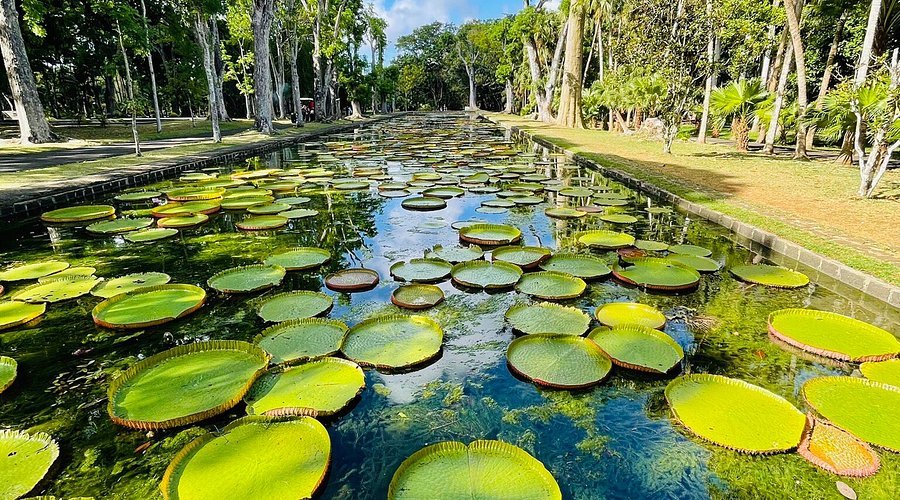 Mauritius Tour Packages