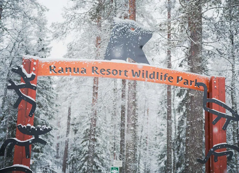 Northern Lights Tour Packages